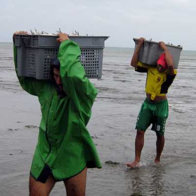 Ecuador: Modell einer nachhaltigen Klein-Fischerei