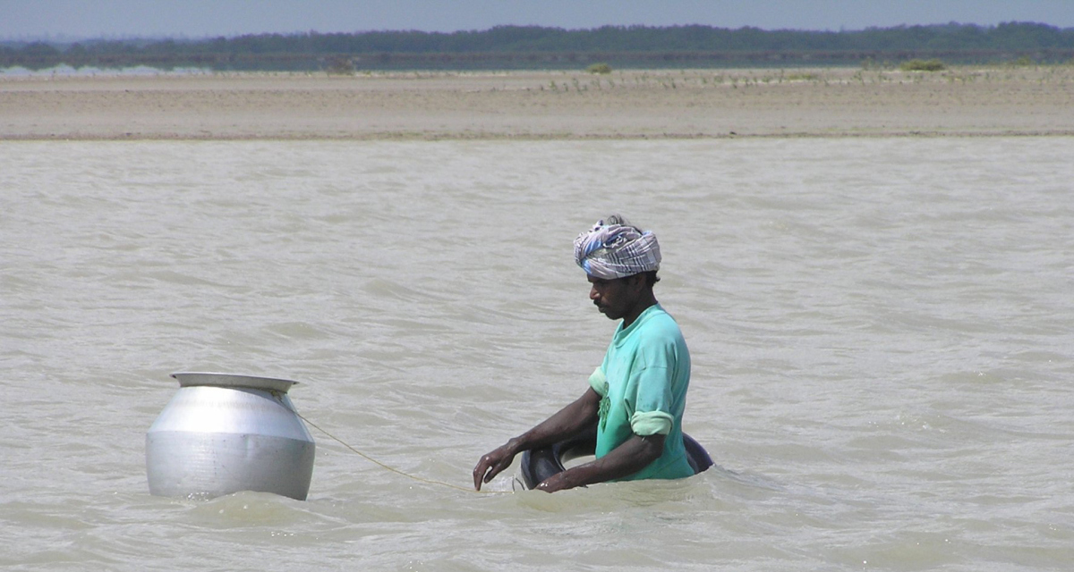 Small scale fisher in India Small scale fisher in India