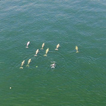 Para los jóvenes Para los jóvenes
